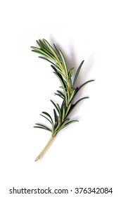 Fresh Green Sprig Of Rosemary On A White Background