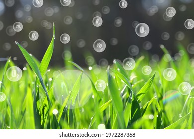 Fresh green spring leaves of grass with O2 and CO2 bubbles. Carbon dioxide absorption and oxygen release.