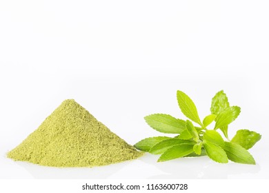 Fresh Green Stevia Herb And Extract Powder - Stevia Rebaudiana.