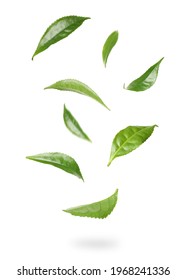 Fresh green tea leaves falling on white background - Shutterstock ID 1968241336