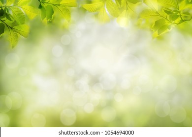 Fresh green tree leaves, frame. Natural background. - Shutterstock ID 1054694000