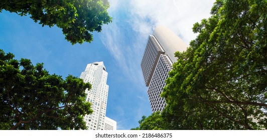 Fresh Green Trees And Urban Buildings. Perspective Exterior Pattern Wall Modern Buildings With Green Tree Leaves