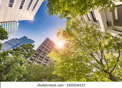 Fresh Green And Urban Buildings