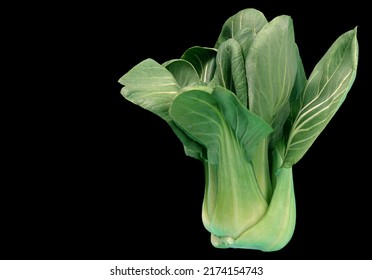 Fresh Green Vegetable Bok Choy, Isolated On Black Background With Clipping Path