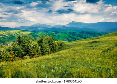 Fresh green view of Carpathians with Hoverla and Petros peaks on background. Dramatic summer scene of  Carpathian mountains. Splendid landscape of Ukrainian countryside. - Shutterstock ID 1780864160