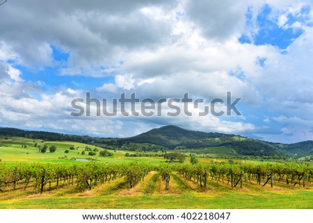 Fresh green vineyards near mountains, cloudy sky above. Hunter Valley, Australia