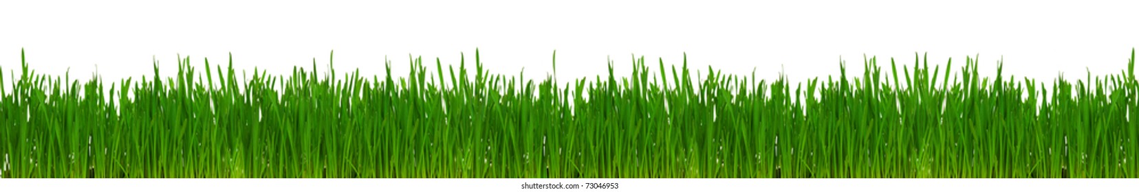 429,200 Grass wheat Images, Stock Photos & Vectors | Shutterstock