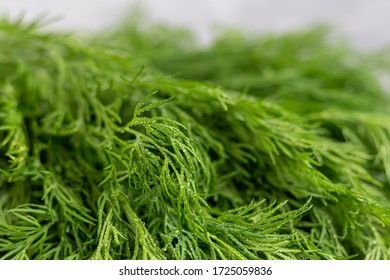 Fresh Greens For Salad. Parsley Dill. Good For Health, On A Gray Background. Warehouse Of Vitamins.