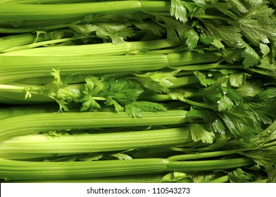 Fresh group of Celery - Powered by Shutterstock