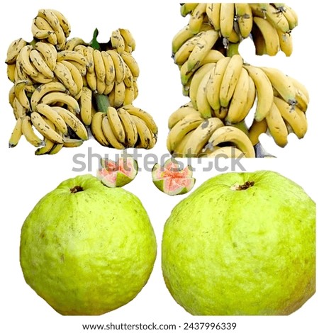 Fresh Guava Fruits And Bananas Fruits Isolated On White Background 