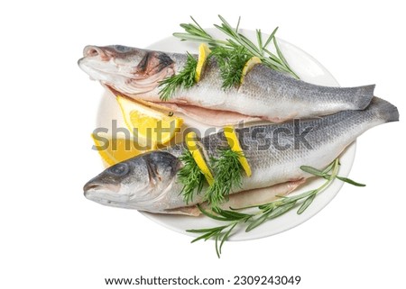 Fresh gutted fish seabass and ingredients for cooking, lemon, pepper and rosemary in a plate isolated