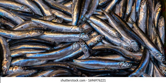 The Fresh Hamsi Anchovy At The Sea Food Market In Istanbul