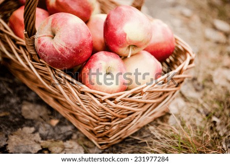 Similar – Foto Bild Trauben im Bioweinberg