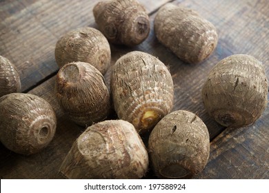 Fresh Harvested Satoimo Potatoestaro Taro Root Stock Photo 197588924 ...