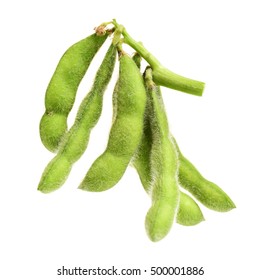 Fresh Harvested Soybean (edamame) Plant Isolated On White Background