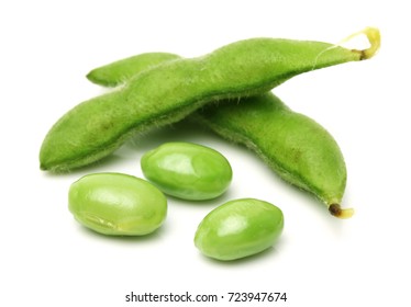 Fresh Harvested Soybean (edamame) Plant Isolated On White Background