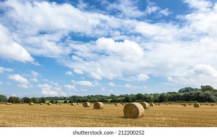 Fresh hay bales on an English field during summertime 