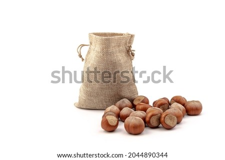 Fresh hazelnuts in bag from sacking isolated on white background. 