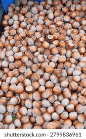 Fresh Hazelnuts In Shell Piled Inside A Blue Plastic Crate At A Local Market Close Up
