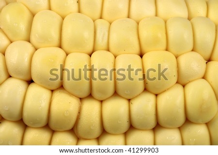 Similar – Image, Stock Photo All kinds of vegetables