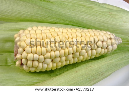 Similar – Image, Stock Photo All kinds of vegetables