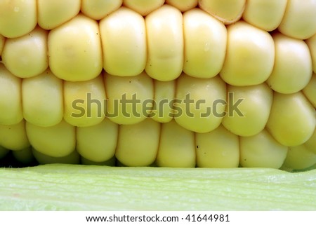 Similar – Image, Stock Photo All kinds of vegetables