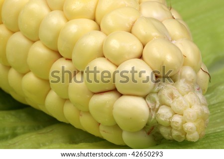 Similar – Image, Stock Photo All kinds of vegetables