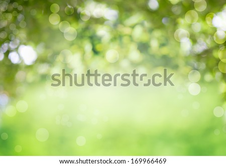 Fresh healthy green bio background with abstract blurred foliage and bright summer sunlight and a central copyspace for your text or advertisment