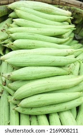 Fresh Healthy Luffa Gourd Stock On Shop For Sell