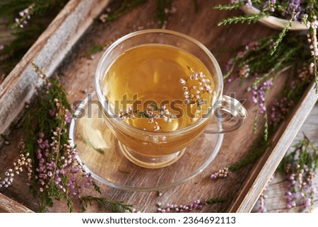 Fresh heather flowers harvested in the forest in a cup of herbal tea on a tray