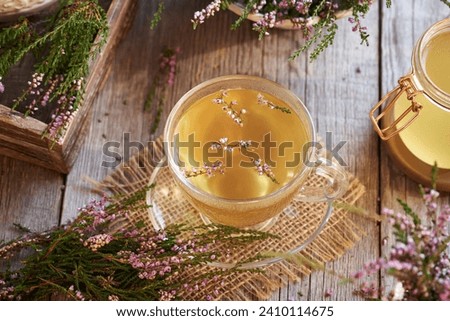 Fresh heather flowers harvested in the forest in a cup of herbal tea on a table