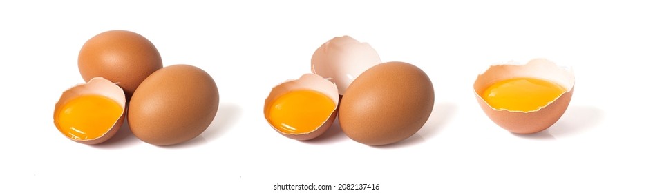 fresh hen egg and yolk isolated on white background 