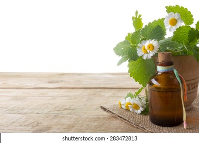 Fresh Herb And Bottle. Alternative Medicine Concept. Isolated On White Background.