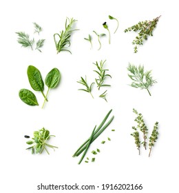 fresh herb and spices isolated on white background, top view - Shutterstock ID 1916202166
