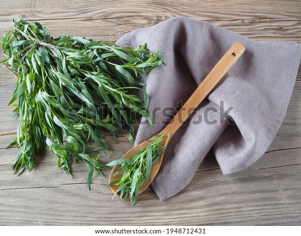 Fresh herb\
tarragon with a wooden spoon and napkin on a wooden table, flat\
layout. Aromatic medicinal herb artemisia dracunculus for the\
preparation of beverages and use in\
cooking