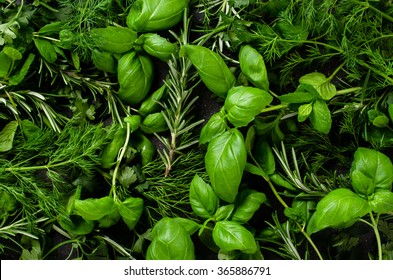 Fresh Herbs Background