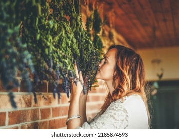 Fresh herbs drying and hanging on the wall. - Powered by Shutterstock