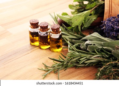 Fresh herbs from the garden and the different types of oils for massage and aromatherapy on table. Set of culinary herbs. Green growing sage, oregano, thyme, basil, mint and oregano. 