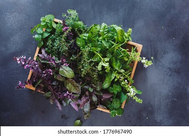 Fresh herbs ingredients for healthy cooking or salad making in a wooden crate.  Rustic dark background, top view, blank space - Powered by Shutterstock