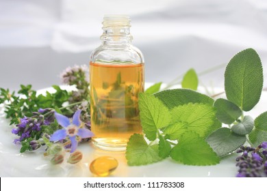 Fresh herbs and oil. Natural medicine - Shutterstock ID 111783308