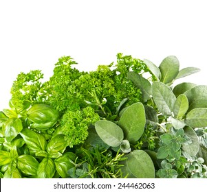 Fresh herbs over white background. Healthy food ingredients. Marjoram, parsley, basil, rosemary, thyme, sage