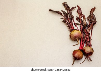 Fresh Homegrown Beetroot With Leaves On Light Stone Concrete Background. Healthy Plant Based Food, Local Produce Harvest, Top View