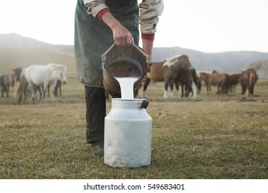 Fresh Homemade Milk From Horses Of The Mongolian People.