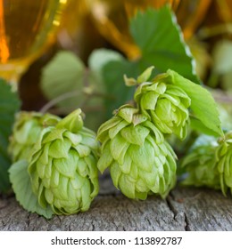 Fresh Hops With Beer