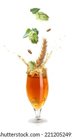 Fresh Hops Flowers With Leaves And Wheat Grains Falling Into Glass Of Beer On White Background