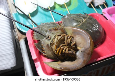 Fresh Horseshoe Crab or Limulus polyphemus lies upside down on shelf basket are raw material used for cooking on basket shelf in Market place. Texture background of fresh food. Cha-Am Beach, Thailand