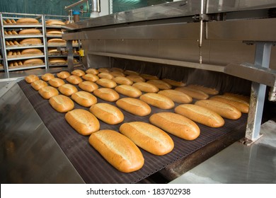 Fresh Hot Baked Bread Loafs On The Production Line 