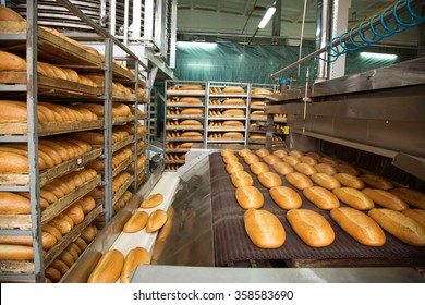 Fresh Hot Baked Bread Loafs On The Production Line 