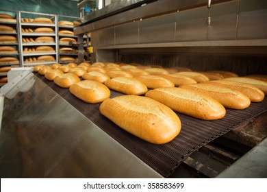 Fresh Hot Baked Bread Loafs On The Production Line 