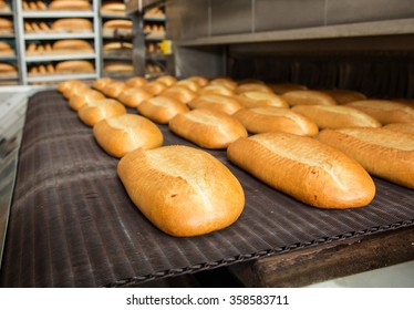 Fresh Hot Baked Bread Loafs On The Production Line 